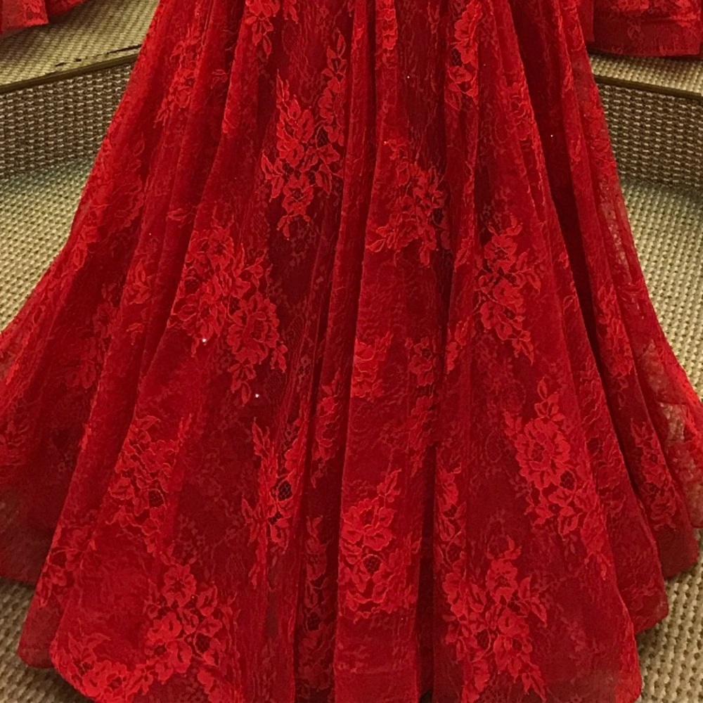 Mori Lee Red Lace Fit & Flare Dress - Picture 8 of 8
